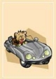 Teddy Bear Driving Gift Card #16