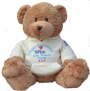 Happy Anniversary Teddy Bear