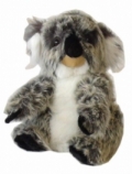 Kool Koala 