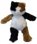 Patches The Cat
