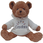 Personalised Teddy Bear Gifts as Corporate Promotion Tools