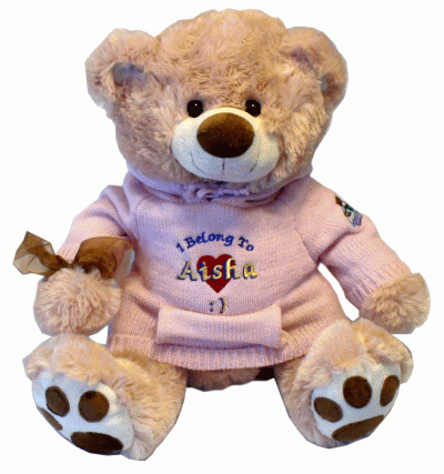 Large 21 inch Teddy Bears with your personal message embroidered on a custom teddy bear hoodie
