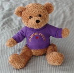 MISSING YOU Teddy Bear