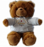 class of 2010 Top Teddy